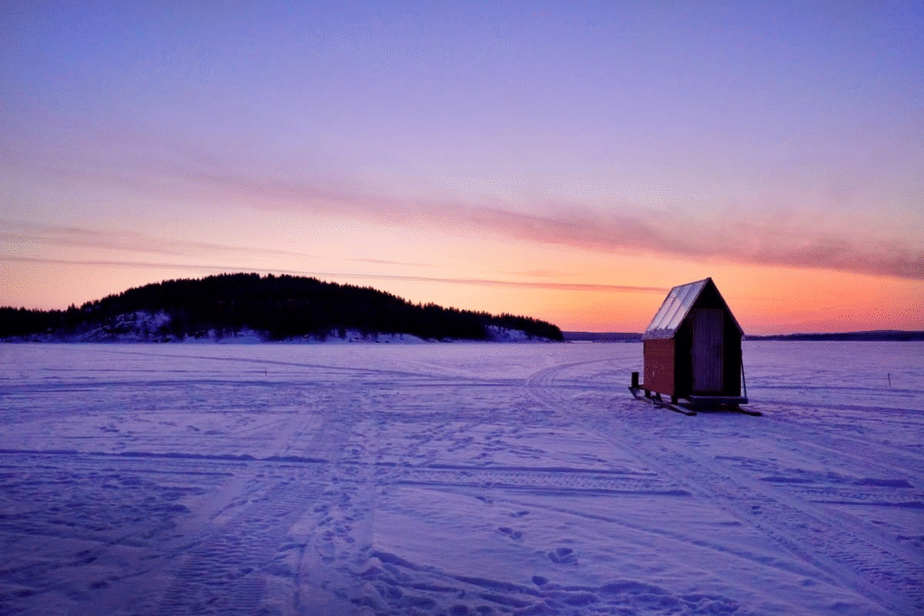 image 2025 08 20 204813695