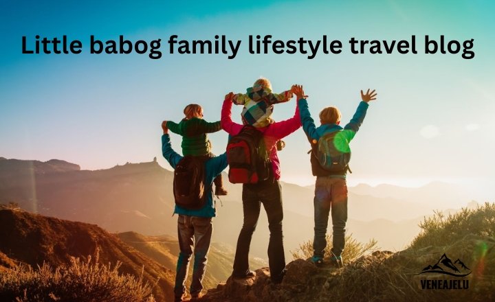 little babog family lifestyle travel blog